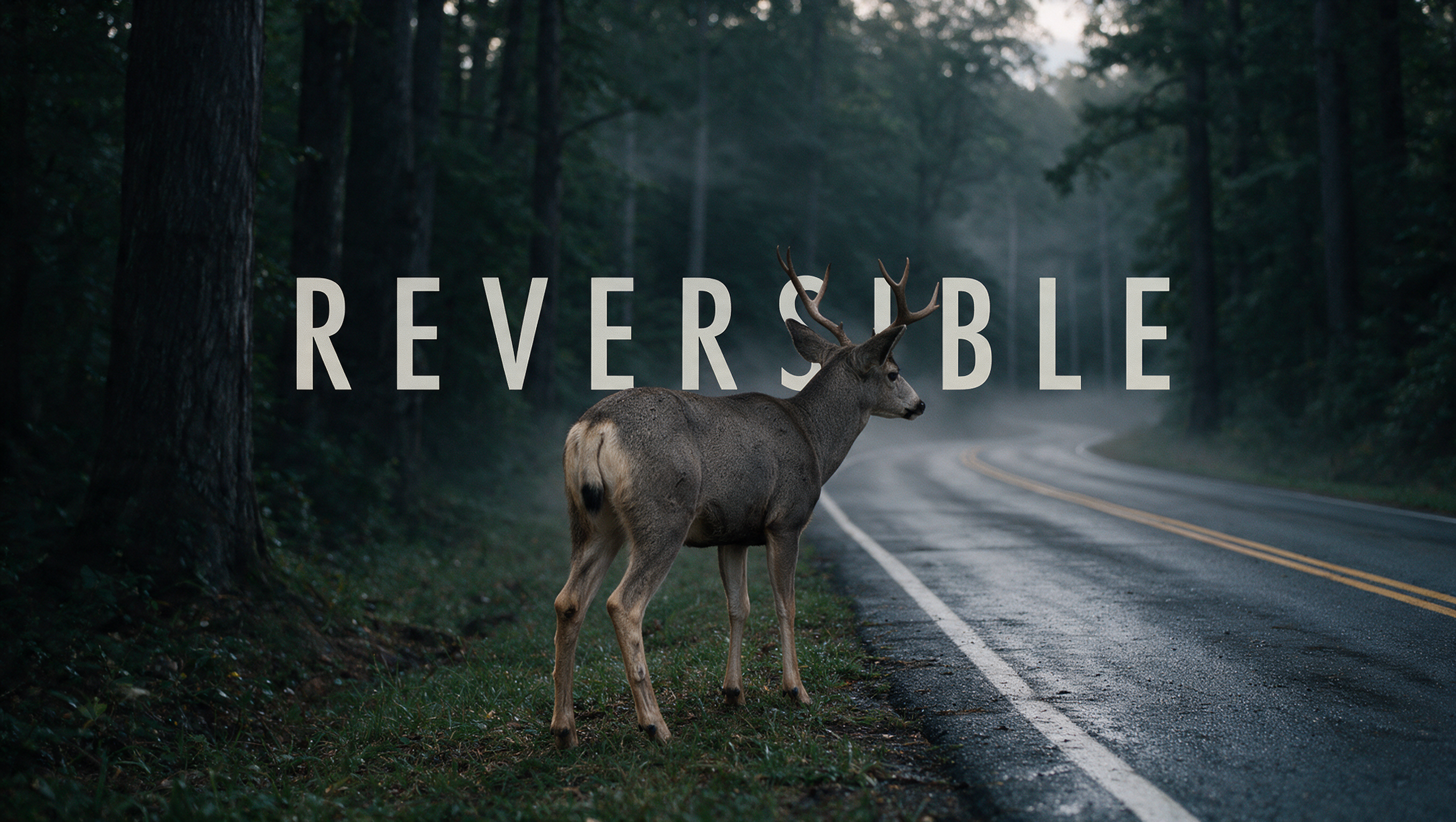 REVERSIBLE